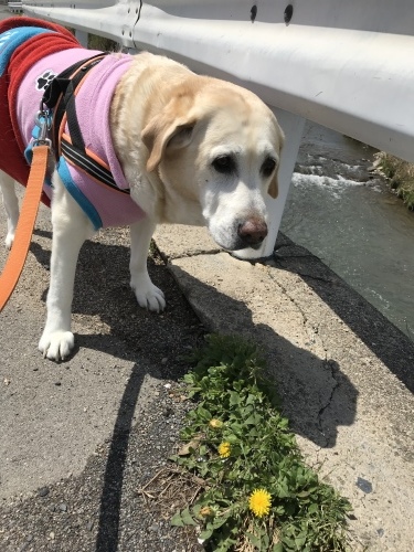 f0315081_17340408.jpeg