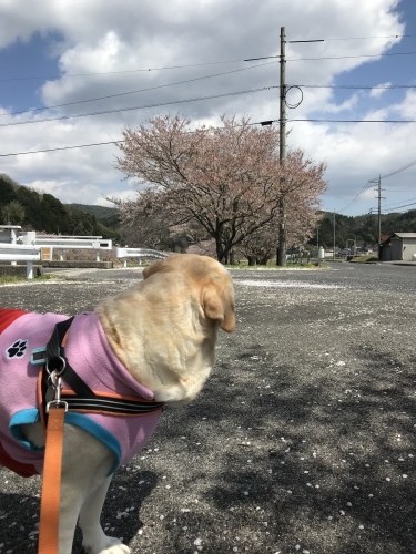 f0315081_17360616.jpeg