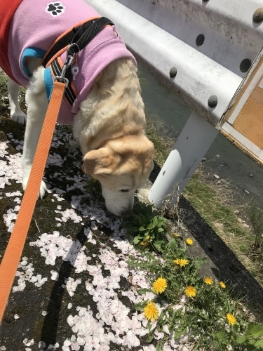 f0315081_17363655.jpeg