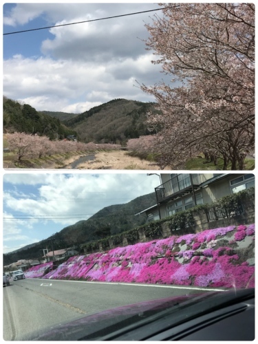 f0315081_17410465.jpeg