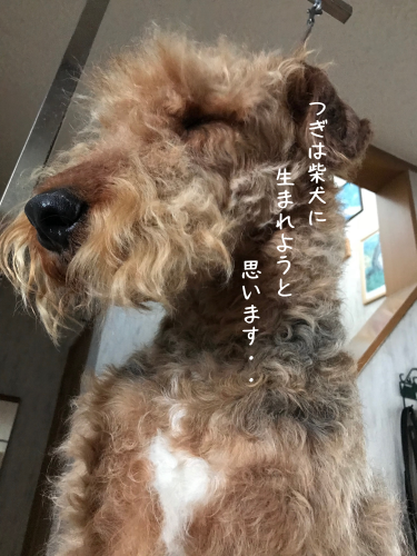 a0216583_17014931.png