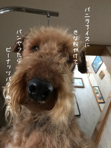 よし！っと気合を入れてみる_a0216583_17015122.png