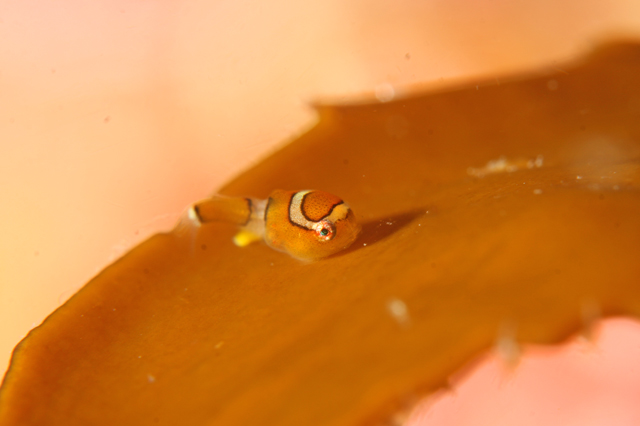b0137083_152927.jpg