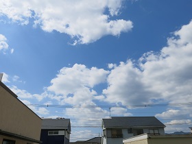 e0130185_10361624.jpg