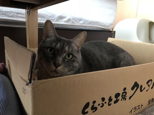 c0340786_22142113.jpeg