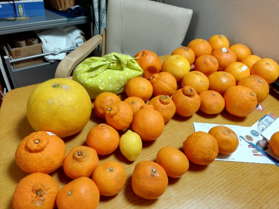 f0237788_00050139.jpg