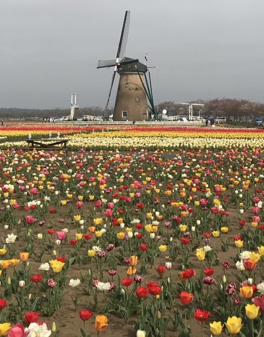 a0027290_21505538.jpeg
