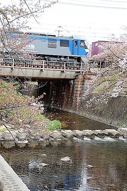 藤田八束の鉄道写真＠春爛漫貨物列車写真は最高です、カシオのデジカメとキヤノンの一眼で素敵な写真_d0181492_23342673.jpg