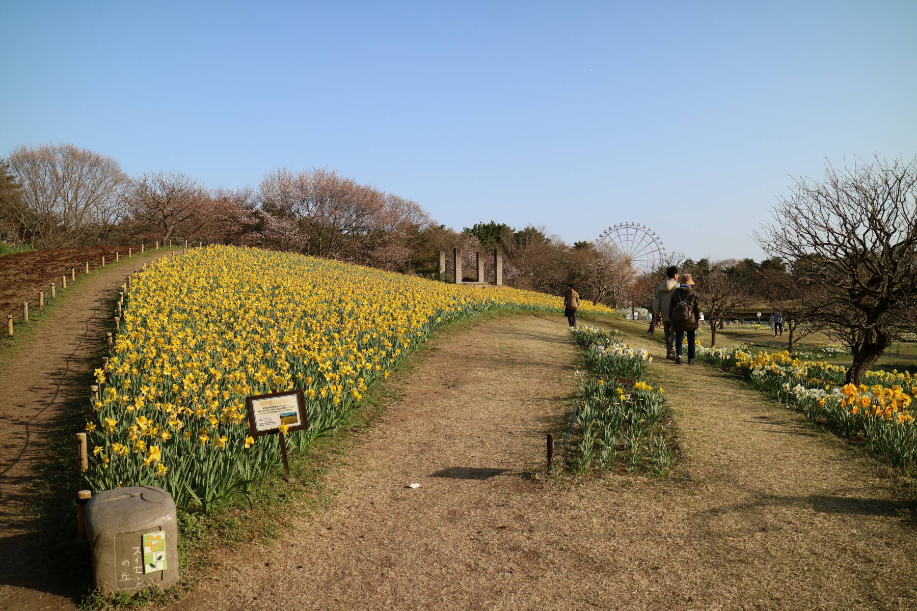 f0075595_23372775.jpg
