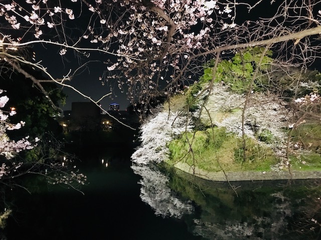 2018年の桜(1)_b0129897_13232180.jpg