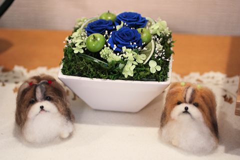 c0090198_1843834.jpg