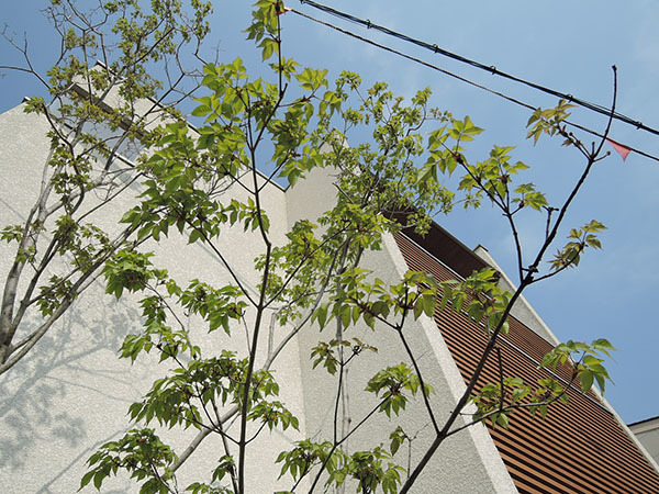 d0168406_09350416.jpg