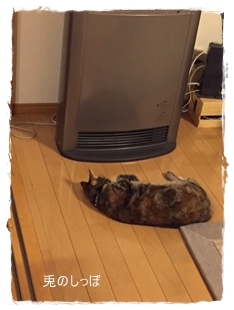 c0190707_21421818.jpeg