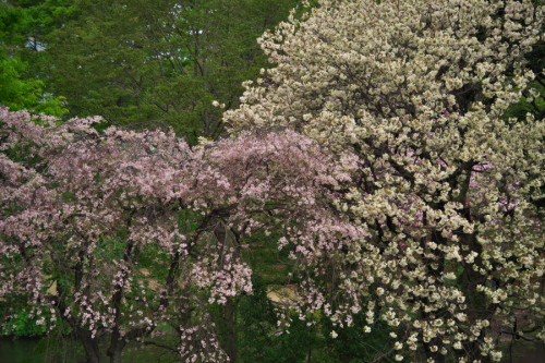 a0263109_13262153.jpg