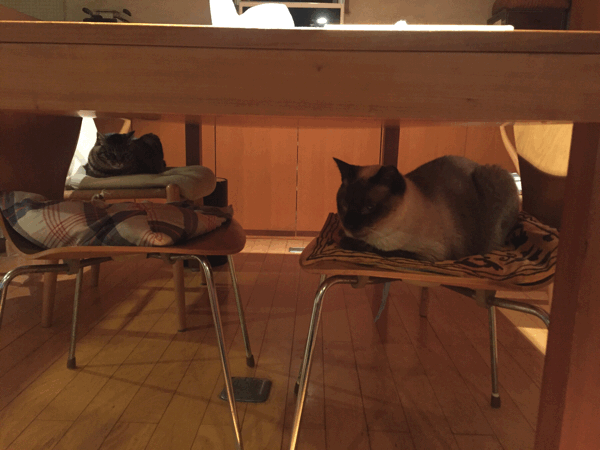 b0268815_22323287.gif