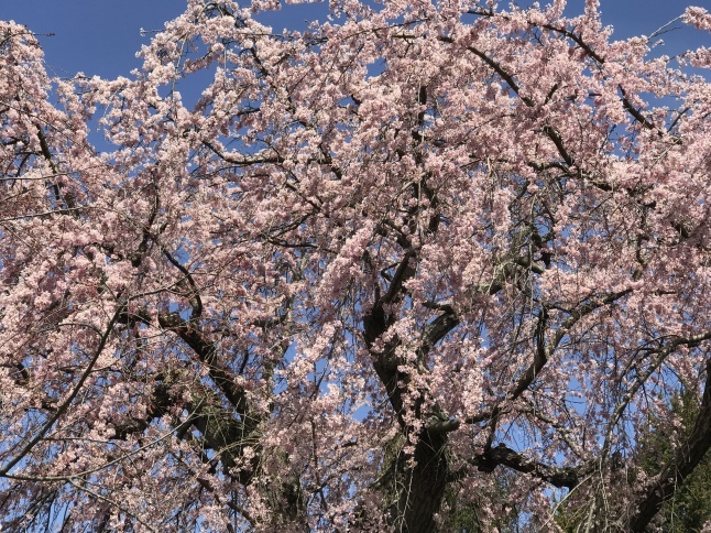 b0365715_05075449.jpg