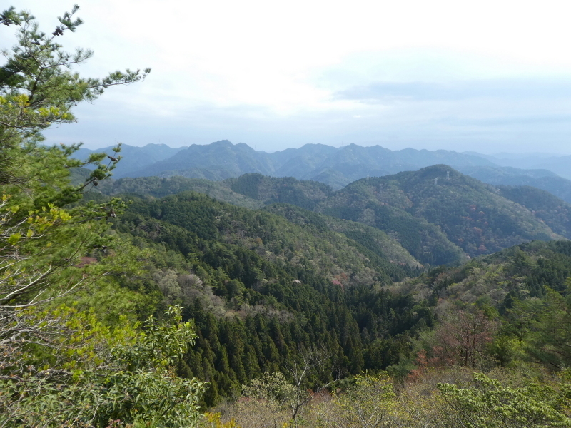 d0170615_20471545.jpg