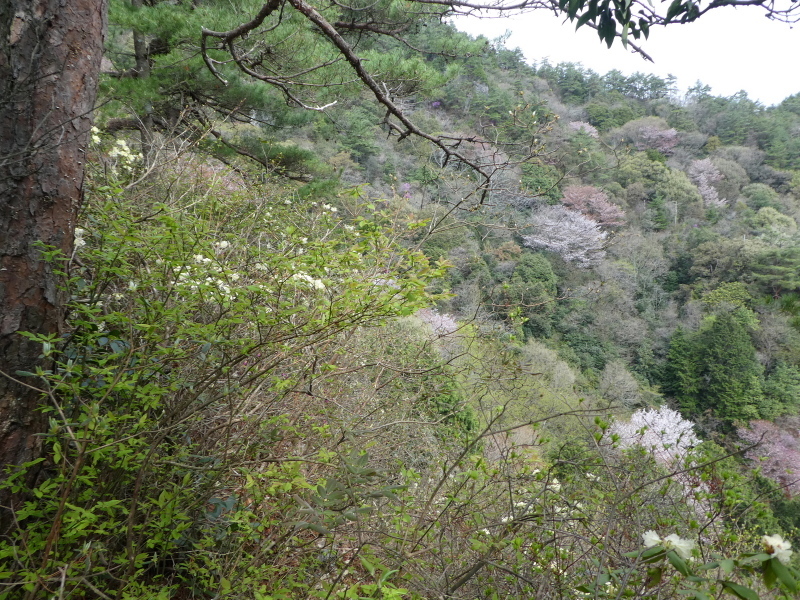 d0170615_20473940.jpg