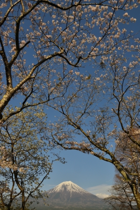 b0369916_16573350.jpg