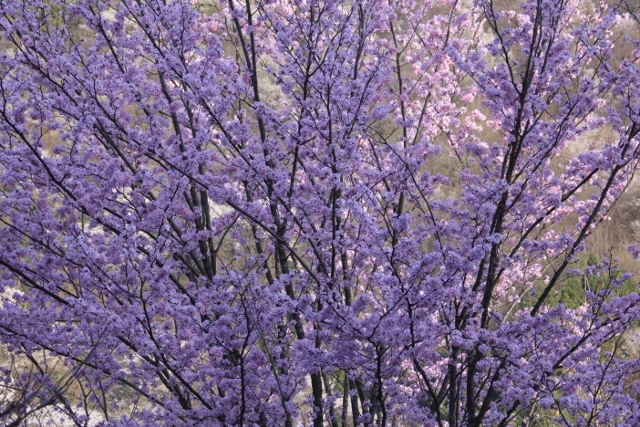 e0242721_09230302.jpg