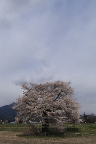 e0242721_09280744.jpg