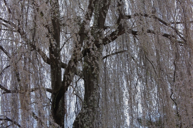 e0242721_09294120.jpg