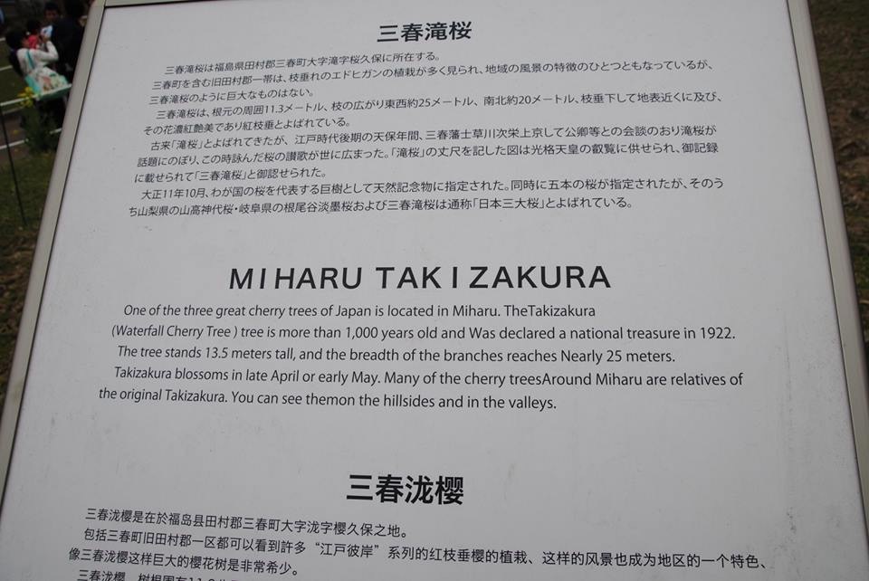 d0269832_06555148.jpeg