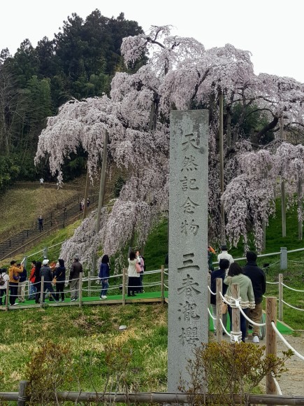 d0269832_06563524.jpeg