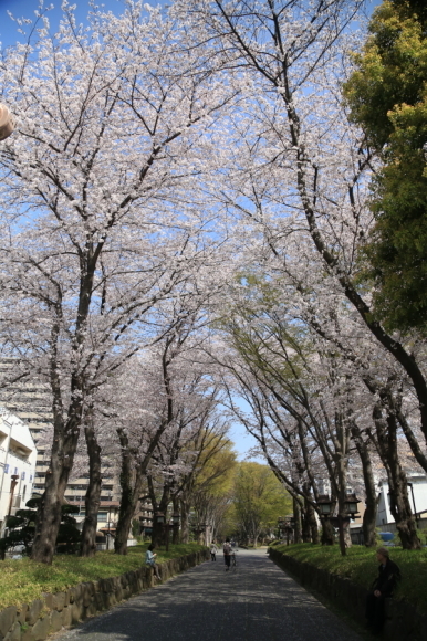 f0229832_21240076.jpg