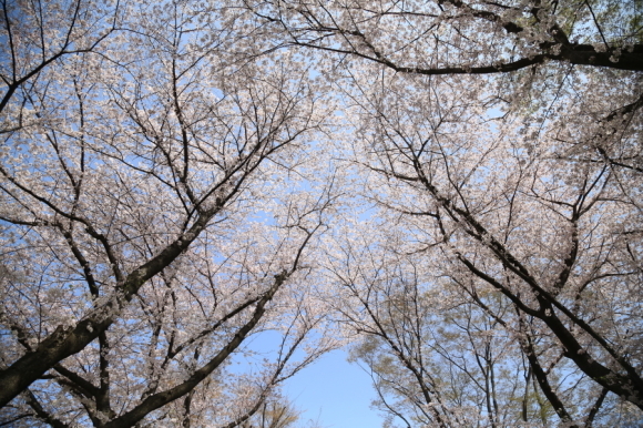 f0229832_21242258.jpg