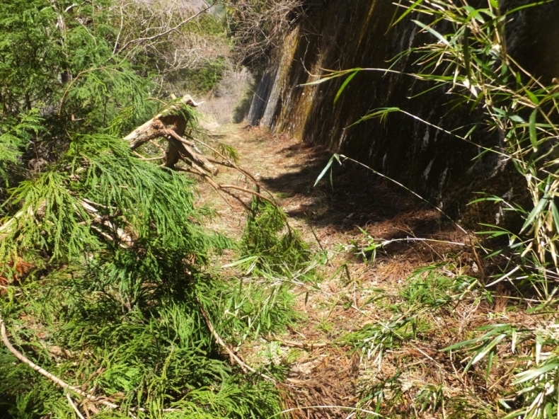 d0378837_03052833.jpg