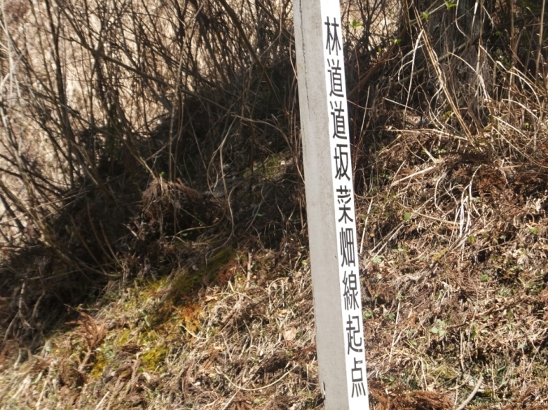 d0378837_06464899.jpg