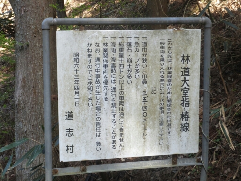 道志村林道冒険の旅3_d0378837_11344936.jpg