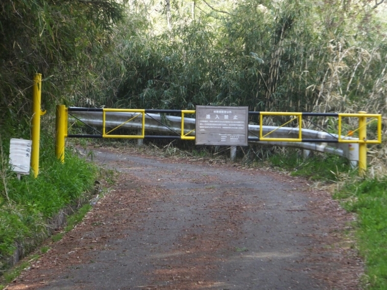 道志村林道冒険の旅3_d0378837_11390905.jpg