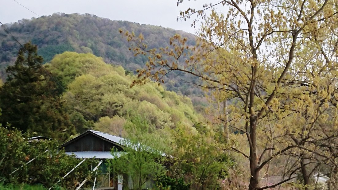 c0175339_23081099.jpg