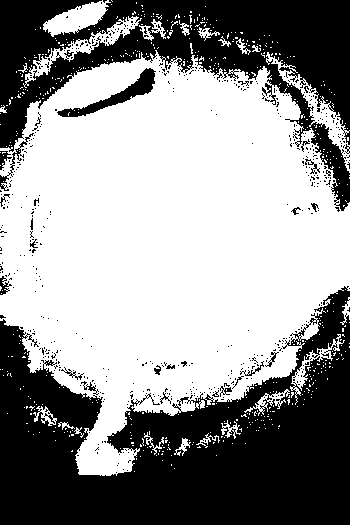 d0120442_22545185.jpg