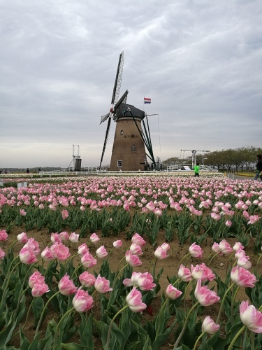 e0341143_15581186.jpg