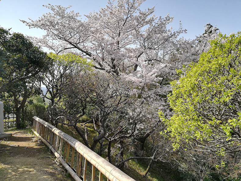 b0002644_21203449.jpg
