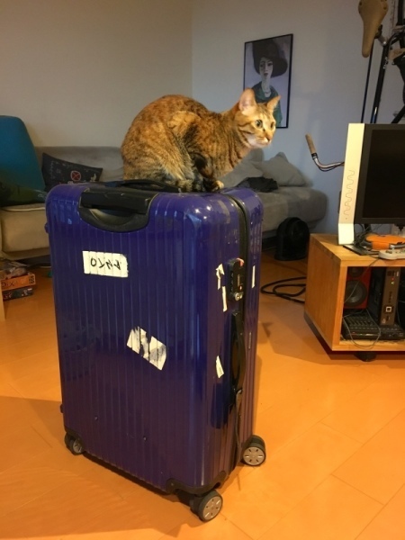 d0180447_11121360.jpeg