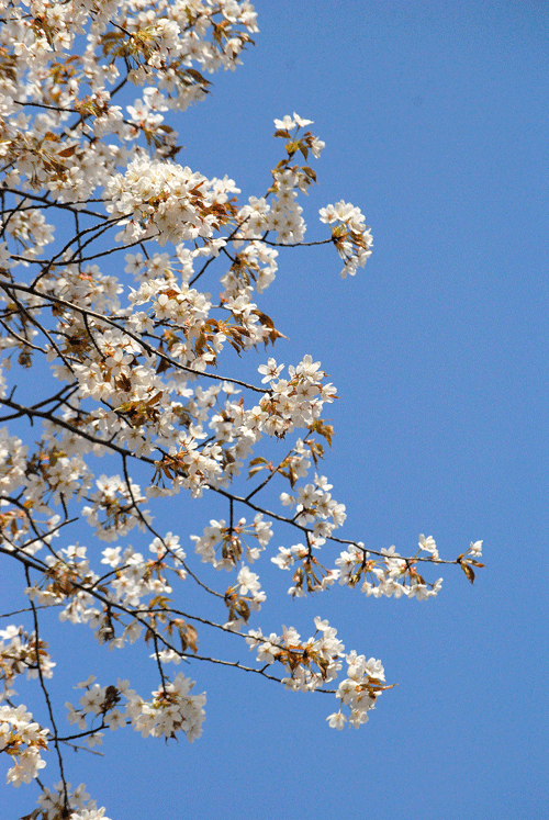 a0001354_23485696.gif