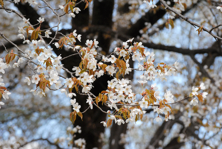 a0001354_23490959.gif