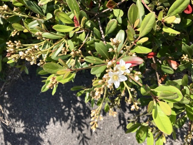 d0156557_16185624.jpeg
