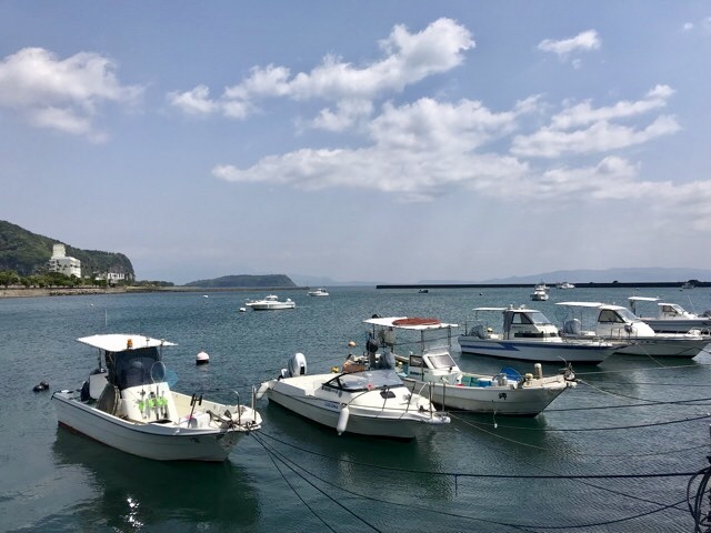 d0156557_16190775.jpeg
