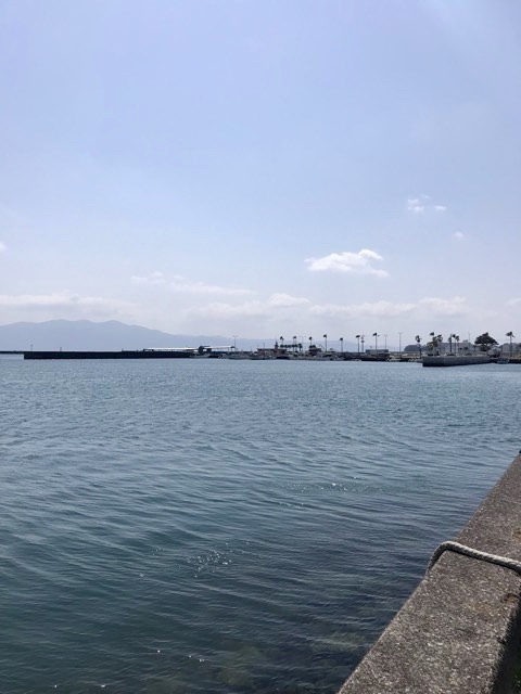 d0156557_16192636.jpeg