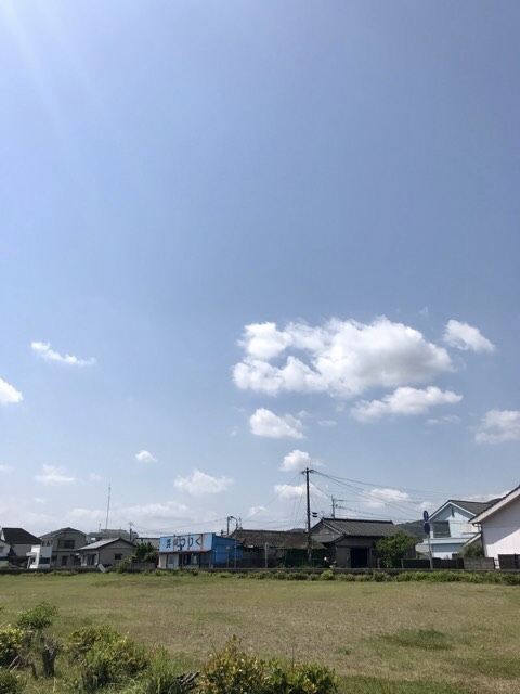 d0156557_16193743.jpeg