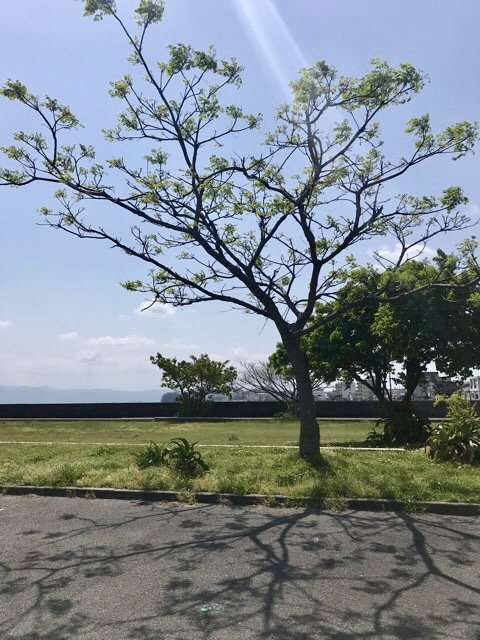 d0156557_16195145.jpeg