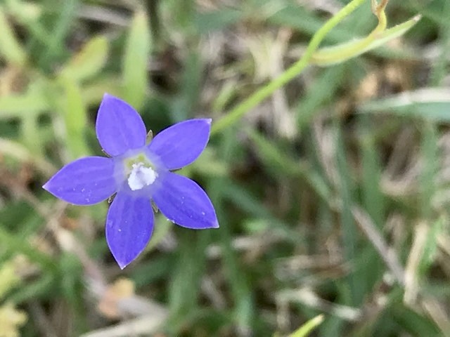 d0156557_16201762.jpeg