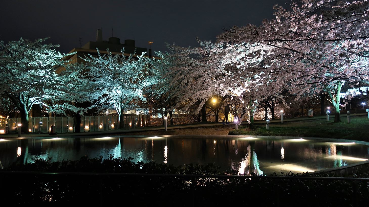 変わらぬ風景ー77　桜・島めぐり_b0191160_16173852.jpg