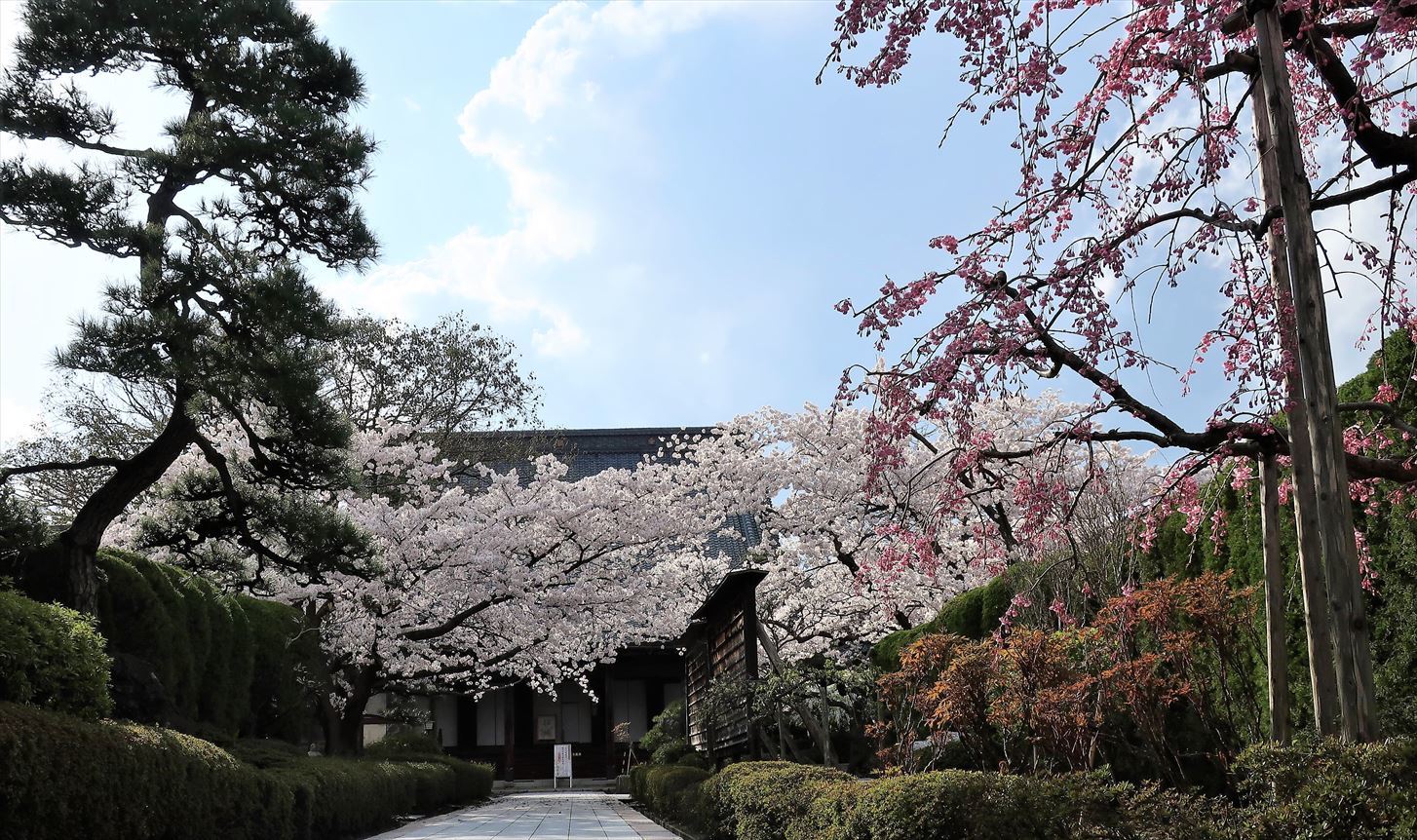 変わらぬ風景ー77　桜・島めぐり_b0191160_16304126.jpg