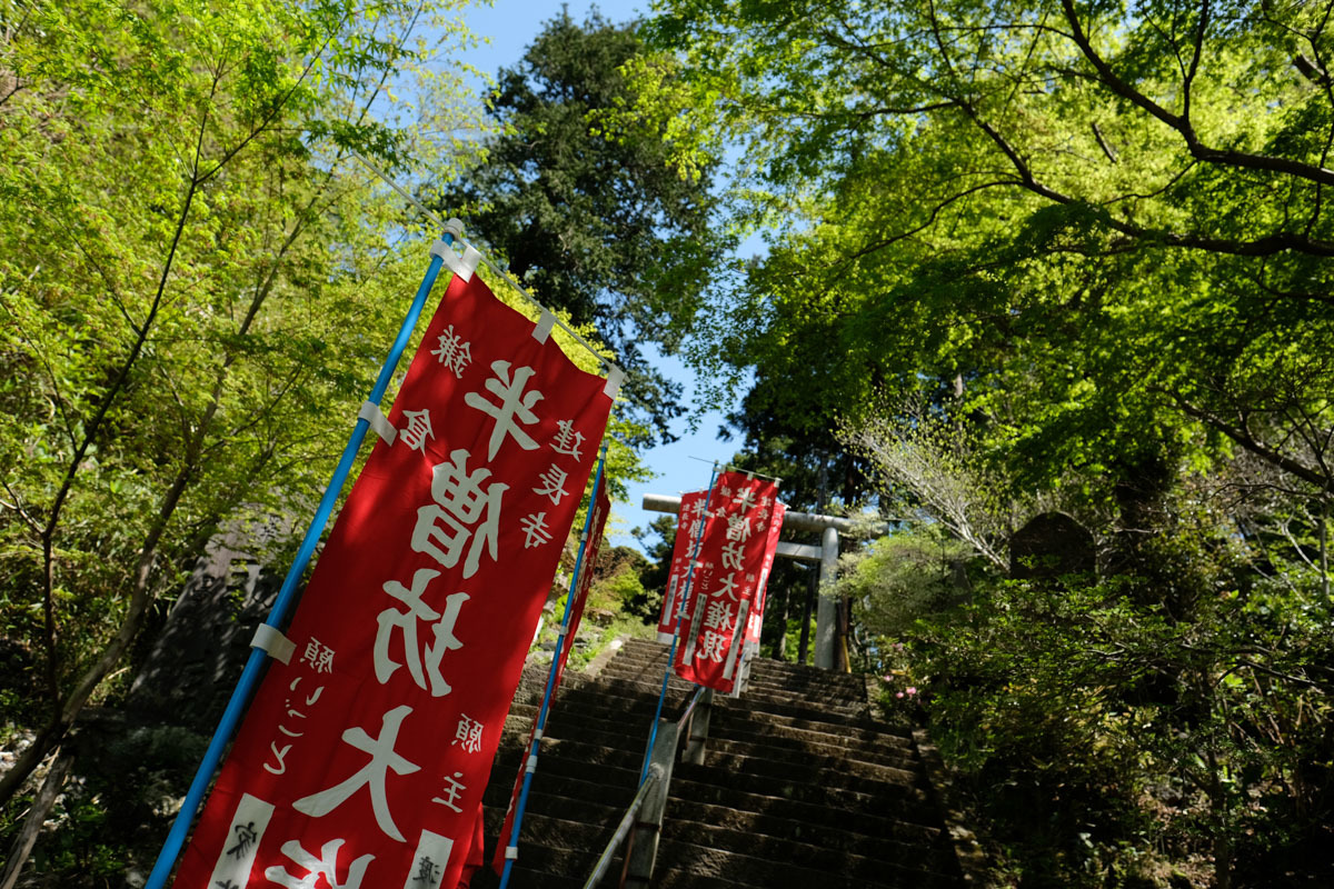 c0084666_12202293.jpg